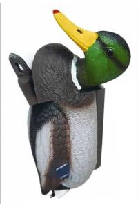 No new kind of duck : would I know how to say what I do?.   - editor in chief: Jan Verwoert ; German to English translations: Jan Verwoert ; works and conversations Ralf Baecker [und 6 weitere]