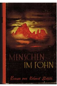 Menschen im Föhn. Roman.