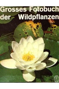 Großes Fotobuch der Wildpflanzen.   - Mit 190 Farbfotos aufgenommen am natürlichen Standort von G.D. Swanenburg de Veye und zahlreichen Zeichnungen. Aus dem Niederländischen.
