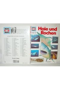 Haie und Rochen