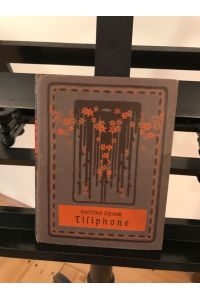 Tisiphone - eine Geschichte aus dem Dekumatenlande: Roman