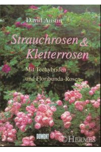 Strauchrosen und Kletterrosen.   - Mit Teehybriden und Floribunda-Rosen.