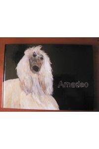 Der Windhund Amadeo