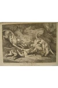 Fuchsjagd mit Fox Hounds Kupferstich von Howitt, 1797
