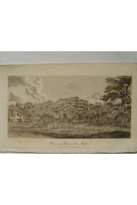 Jagd Fuchsjagd mit Fox Hounds Thorneville Park Kupferstich 1806