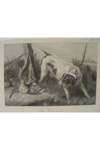 Jagdhund mit Fasan; Hund Jagd Stahlstich von E. Hacker 1869