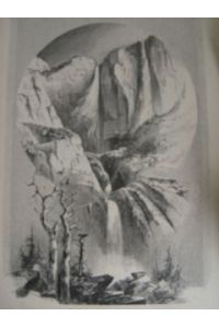 Yosemite Wasserfall Nationalpark Kalifornien California Holzstich um 1890