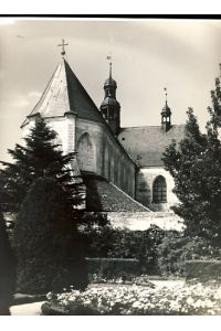 Die Kathedrale zu Oliva bei Danzig. Originalfoto.