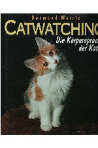 Catwatching - die Körpersprache der Katze.
