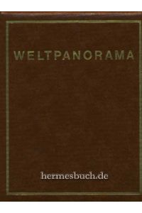 Weltpanorama Chronik 1978.   - Eine Chronik des Weltgeschehens.