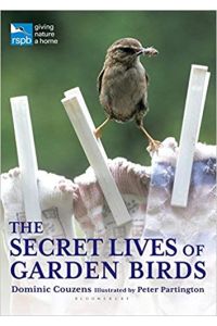 Secret Lives of Garden Birds [Taschenbuch]