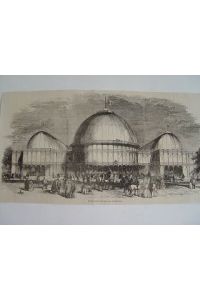 Dublin Irland. Palast der Industrieausstellung Holzstich um 1860