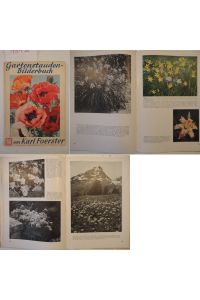 Gartenstauden-Bilderbuch * mit Original-Schutzumschlag (dieser in Farbkopie) und einigen O r i g i n a l - L i e f e r s c h e i n e n von Karl Foester Gärtnerei Potsdam-Bornim
