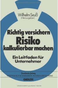 Richtig versichern, Risiko kalkulierbar machen (German Edition)