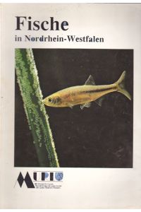 Fische in Nordhein - Westfalen.