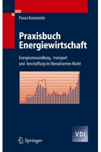 Praxisbuch Energiewirtschaft. Energieumwandlung, -tansport und -beschaffung im liberalisierten Markt.