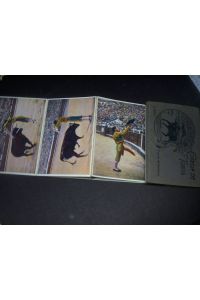 9 Postkarten. Stierkampf in Spanien.