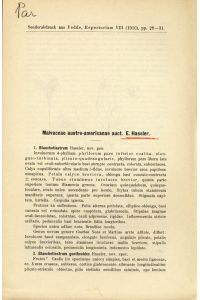 Malvaceae austro-americanae.   - Sonderabdruck aus Fedde, Repertorium VII (1909), pp. 28-31.