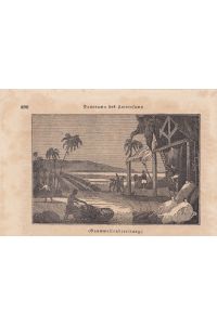 Baumwollenbereitung, Holzstich um 1835, Blattgröße: 29 x 19 cm, reine Bildgröße: 9, 5 x 14, 5 cm.
