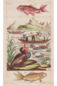 Fischfang mit Kormoranen in China. Altkolorierter Kupferstich v. Schaly, 1799.
