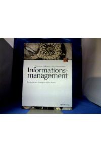 Informationsmanagement : Konzepte und Strategien für die Praxis.