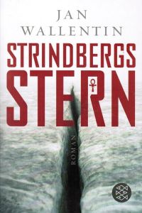Strindbergs Stern  - Roman