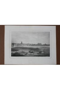 Barby, Marienkirche, Elbe, Lithographie um 1850 von C. W. Arldt/F. Werder, Blattgröße: 22, 7 x 30 cm, reine Bildgröße: 17, 7 x 24 cm.