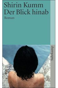 Der Blick hinab: Roman (suhrkamp taschenbuch)