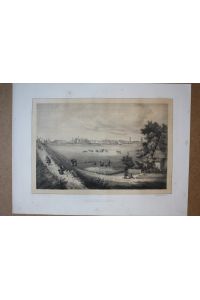 Glückstadt Stadtansicht, Lithographie um 1845 von F. Weider nach R. Bürger, Blattgröße: 22, 7 x 30, 5 cm, reine Bildgröße: 18 x 24 cm.