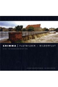 Grimma: Flutbilder - Bilderflut