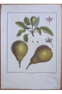 Pastorale. Handkolorierter Kupferstich. Pl. LV aus Traite des Arbres Fruitiers. Blattgröße 33 x 24, 5 cm. Von Tardieu nach Aubriet gestochen.