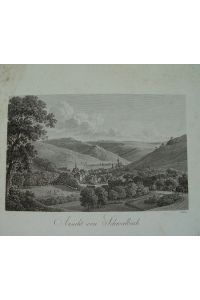 Bad Schwalbach. Taunus Gesamtansicht von einer Anhöhe Kupferstich von Veith um 1820