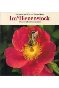 Im Bienenstock - Wunderwelt der Honigbienen