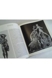 Der Glanz der Farnese. Kunst und Sammelleidenschaft in der Renaissance