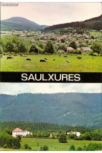 Saulxures / Saales Vuc gènèrale - Alt 552 m Mehrbildkarte