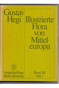Illustrierte Flora von Mitteleuropa. Pteridophyta - Spermatophyta Band III/Teil 1 (Gebundene Ausgabe)
