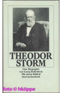 Theodor Storm : eine Biographie ; mit einem Bildteil.   - Insel-Taschenbuch ; 1347