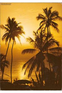 1046869 Palmenstrand Tropical Sunrise
