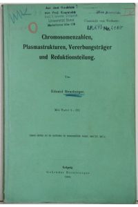Chromosomenzahlen, Plasmastrukturen, Vererbungsträger und Reduktionsteilung. (Separat-Abdruck aus den Jahrbüchern für wiss. Botanik).