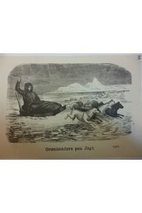 Orig. Holzstich - Hundeschlittenrennen - Grönländere paa Jagt.