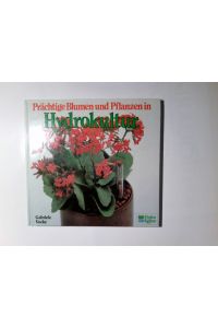 Prächtige Blumen und Pflanzen in Hydrokultur.