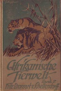 Afrikanische Tierwelt. Band 5 V. Löwen 2 II.   - Löwenjagd.
