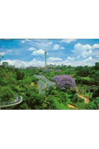 Johannesburg - Skyline