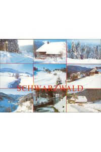 Schwarzwald, verschneit