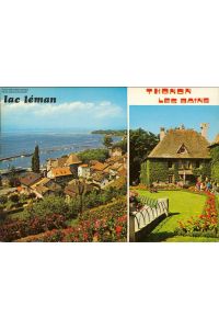 1106885 Thonon-les-Bains, Hafen, Chateau Mehrbildkarte