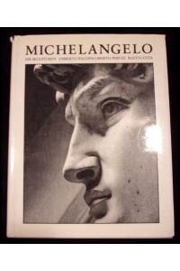 Michelangelo - Die Skulpturen
