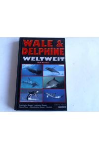 Wale & Delphine weltweit. Pazifischer Ozean, Indischer Ozean, Rotes Meer, Atlantischer Ozean, Karibik, Arktis, Antarktis