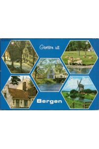 1145001 Gruß aus Bergen (Holland)verschiedene Ansichten Mehrbildkarte