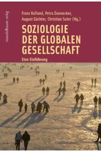 Soziologie der globalen Gesellschaft  - Eine Einführung