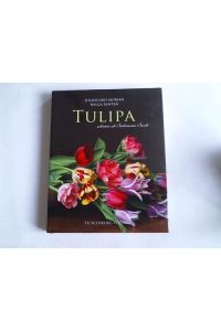 Tulipa. Schöner als Salomonis Seide